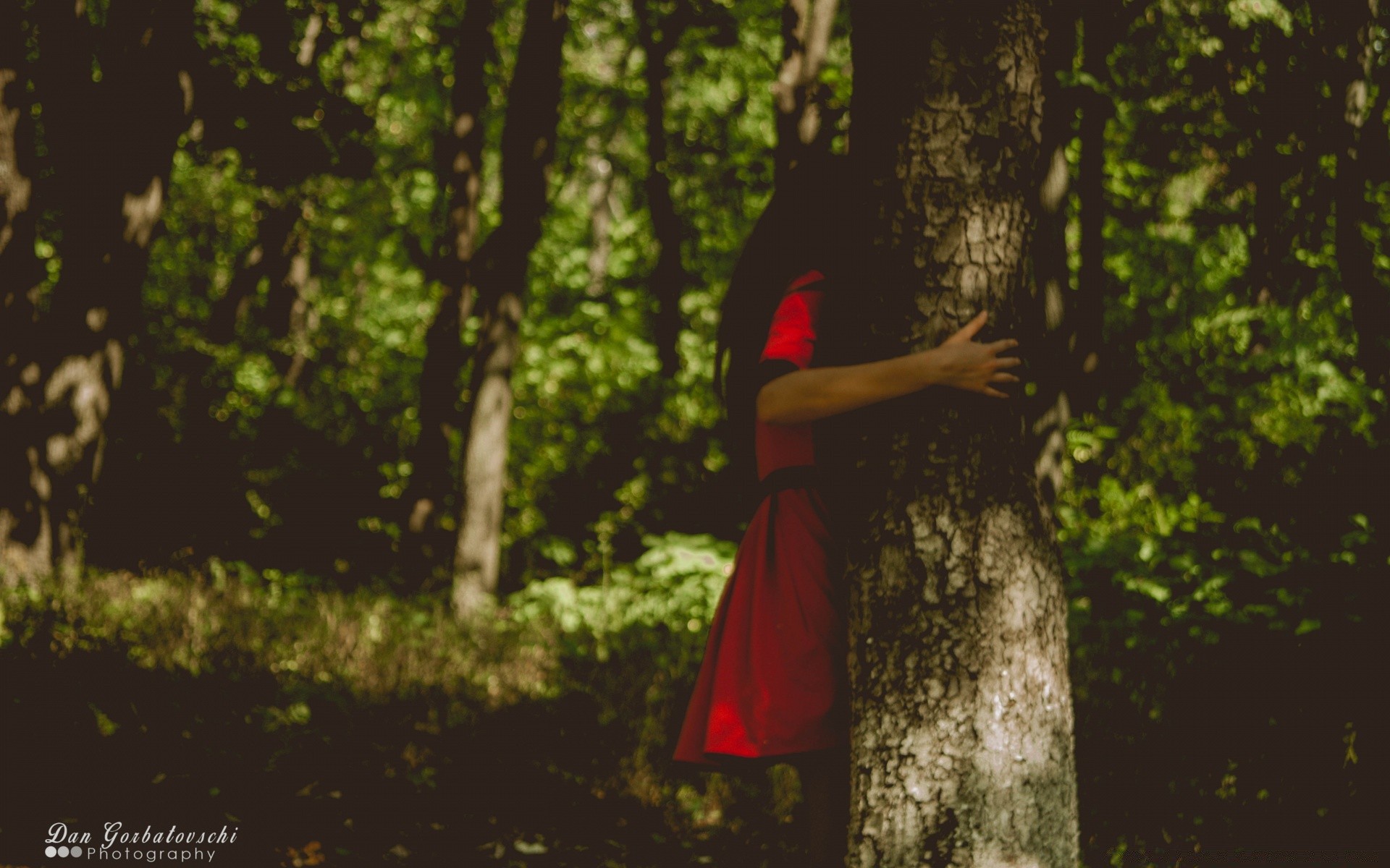 vintage árvore ao ar livre madeira natureza mulher adulto parque solteiro folha vestido vista lateral