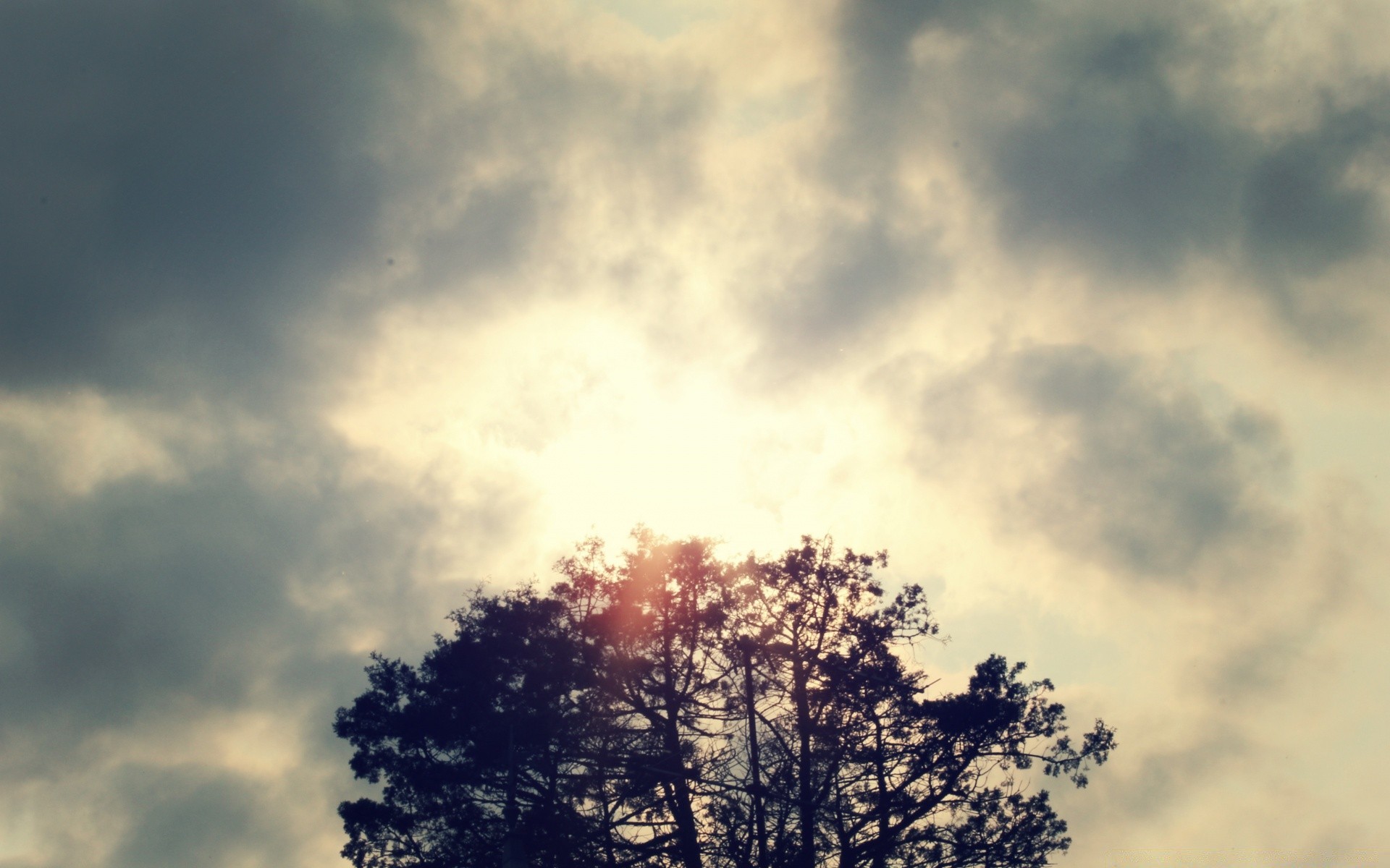 vintage nature ciel paysage météo en plein air soleil beau temps coucher de soleil moody lumière automne brouillard aube été arbre météorologie ciel