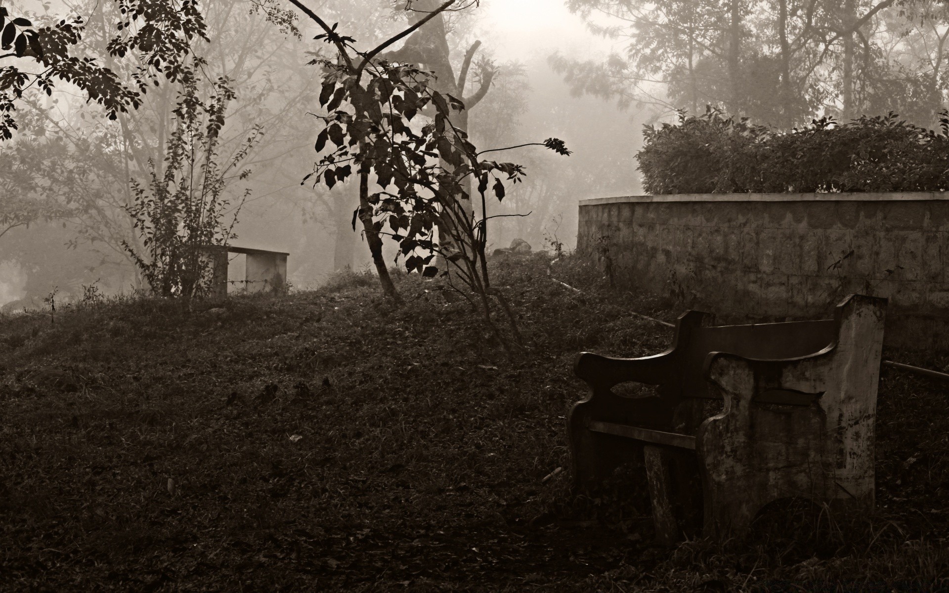 vintage legno fattoria legno in bianco e nero