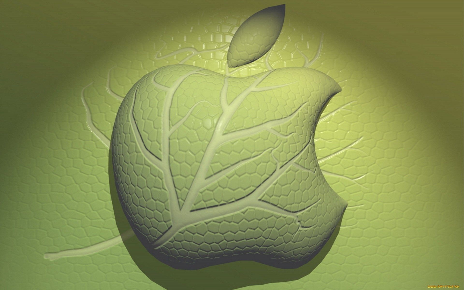 apple desktop astratto illustrazione colore texture forma foglia design modello