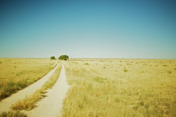 Beautiful summer landscape from the path of the field