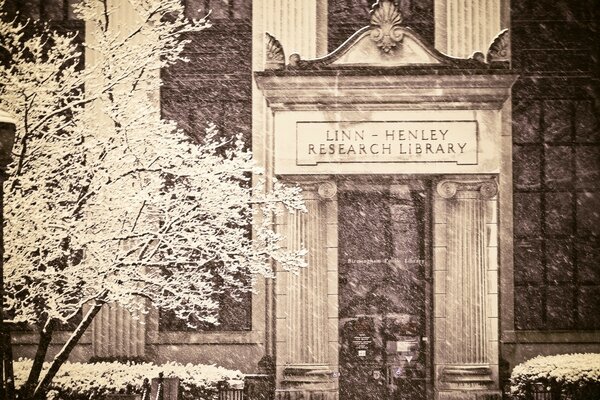 Bibliothèque photo Vintage avec arbre en fleurs et lanterne