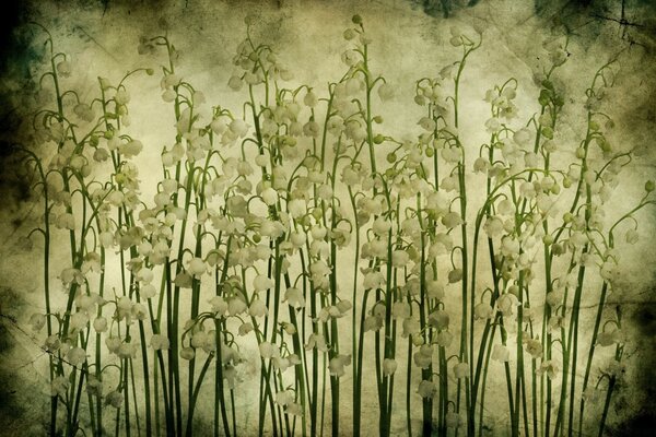 Vintage retro, flowers on the desktop