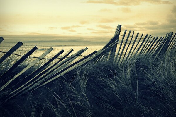 A fallen fence on the edge of the sea