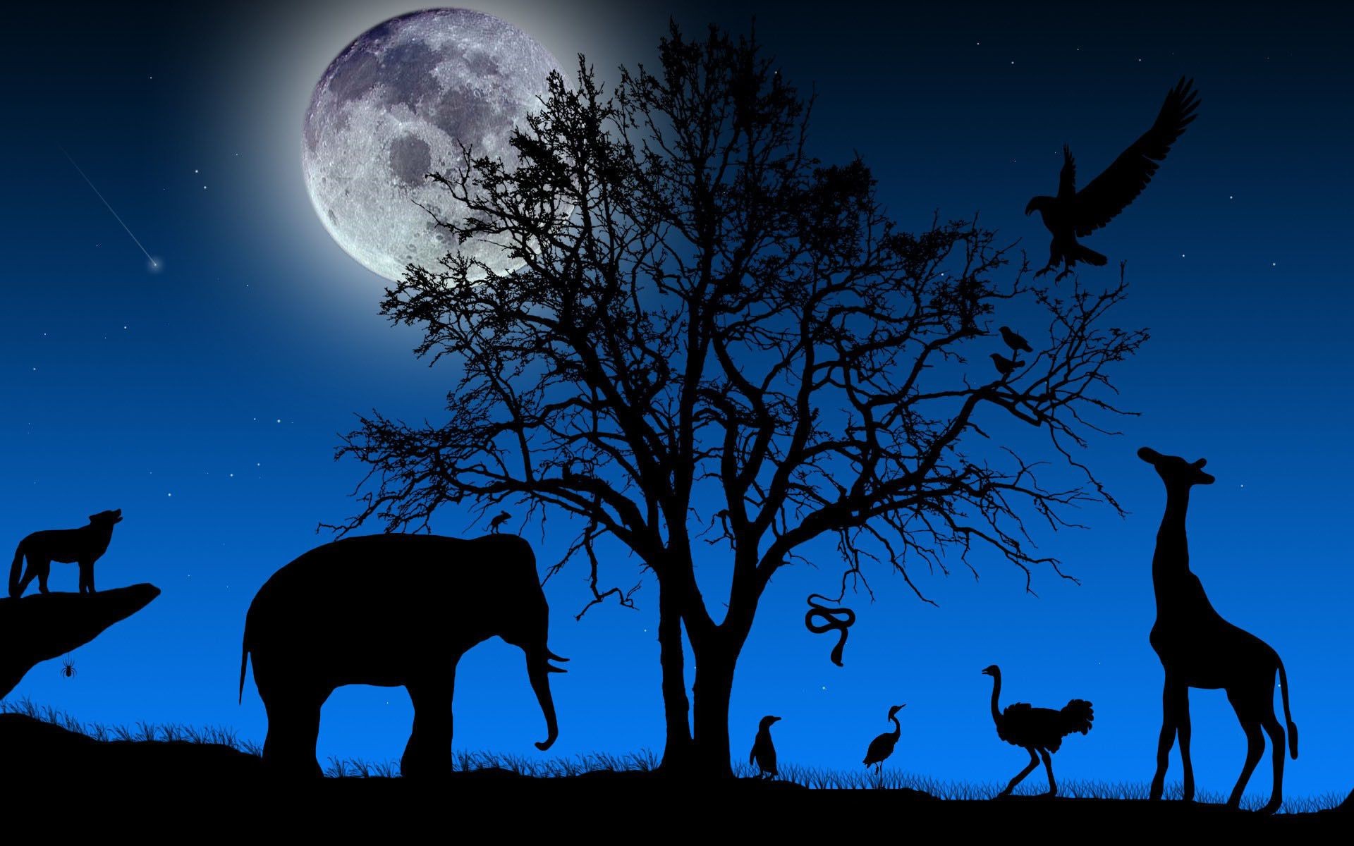 animals silhouette moon backlit evening sky sunset dawn mammal dusk deer tree giraffe travel outdoors reindeer nature wildlife sun