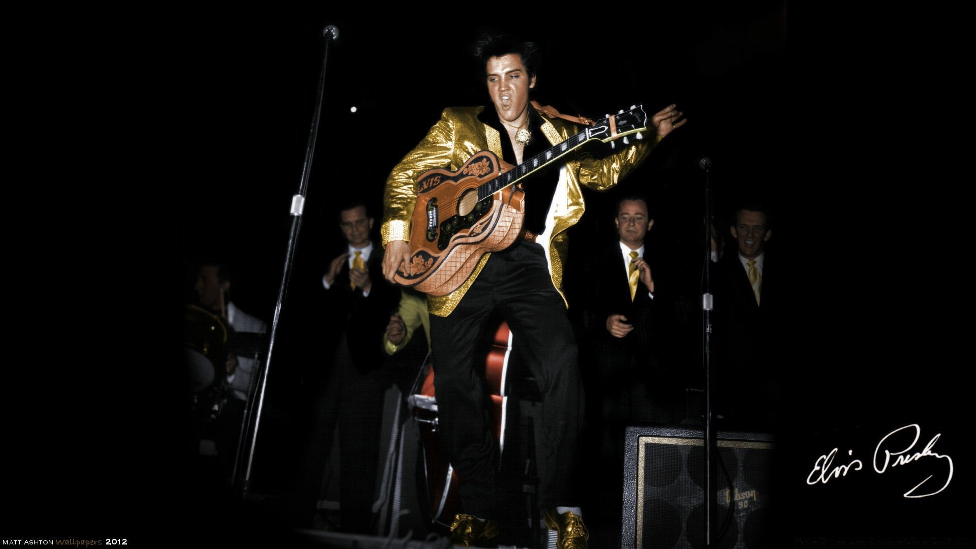 vintage performance musique musicien concert chanteur festival instrument scène instrument à cordes