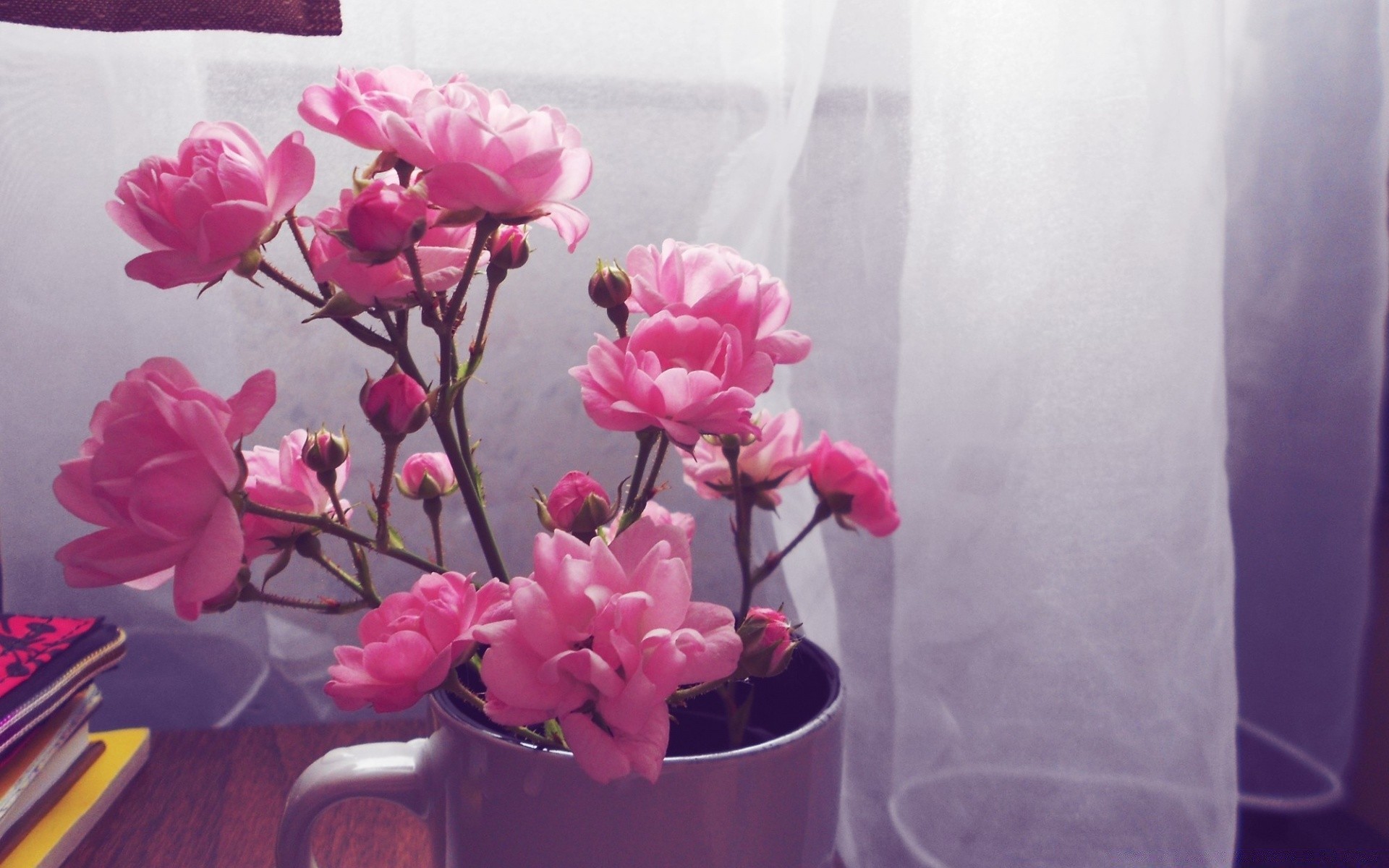 vintage flor natureza flora brilhante verão cor romance bonita decoração pétala floral folha buquê romântico blooming vaso