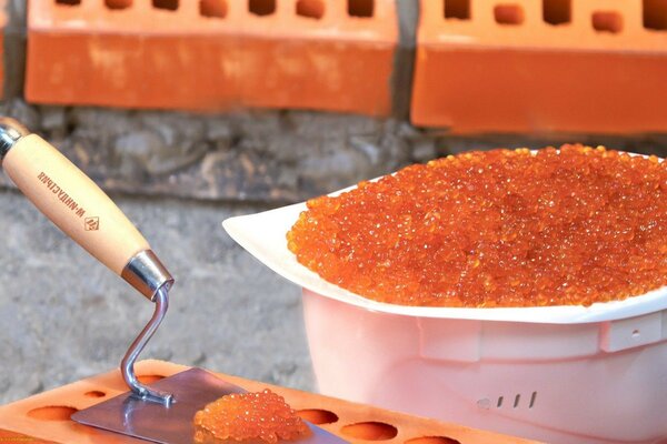 Caviar en espátula y ladrillo