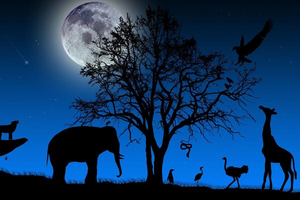 Various animals in the shade under the moon