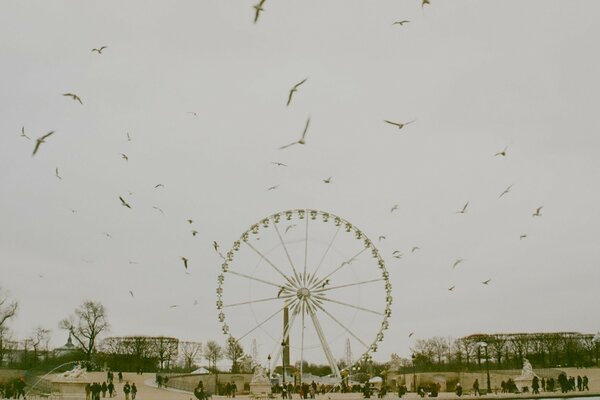 Grande roue sur fond de ciel nuageux