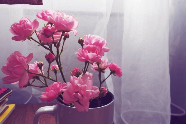 Minimalistisches Foto von rosa Blumen in einem Becher vor dem Hintergrund von Vorhängen