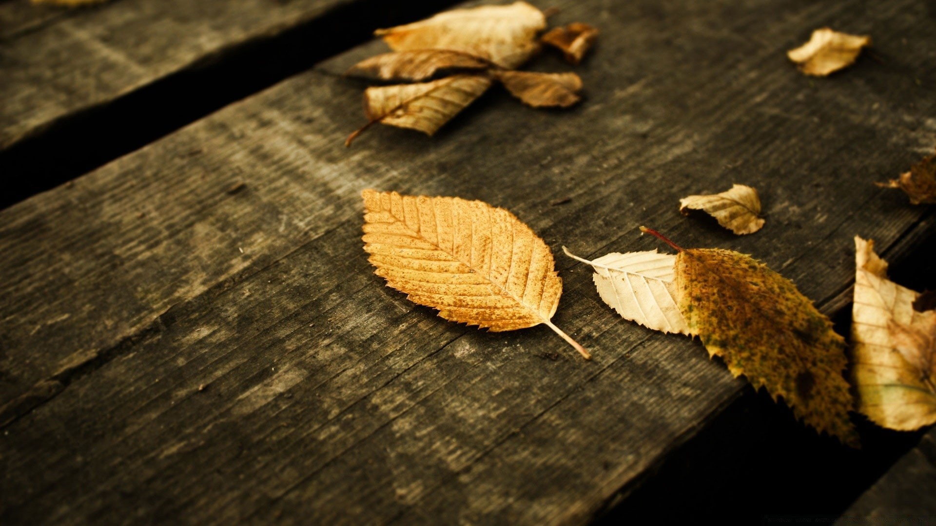 vintage wood food desktop nature still life close-up wooden texture rustic dry