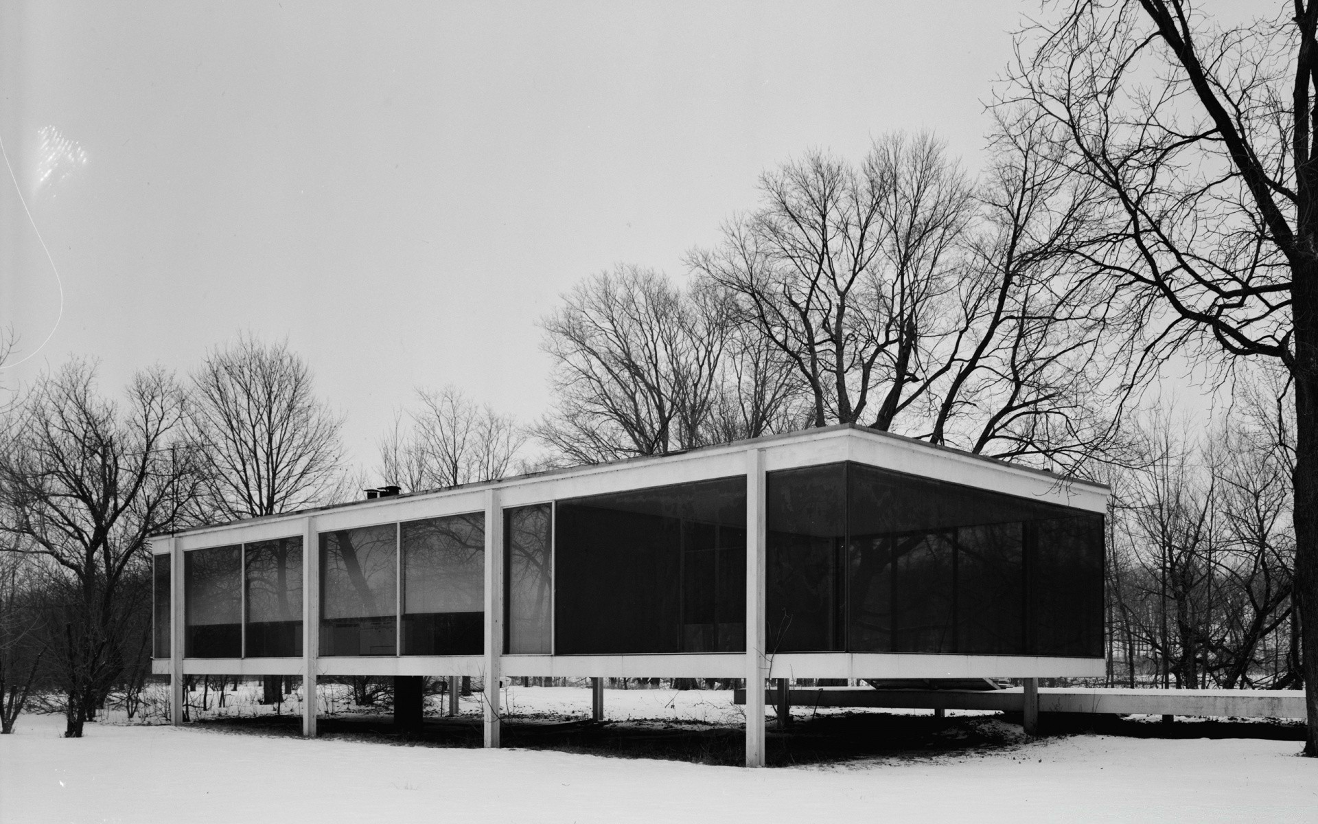 jahrgang baum zuhause auto haus architektur transportsystem haus