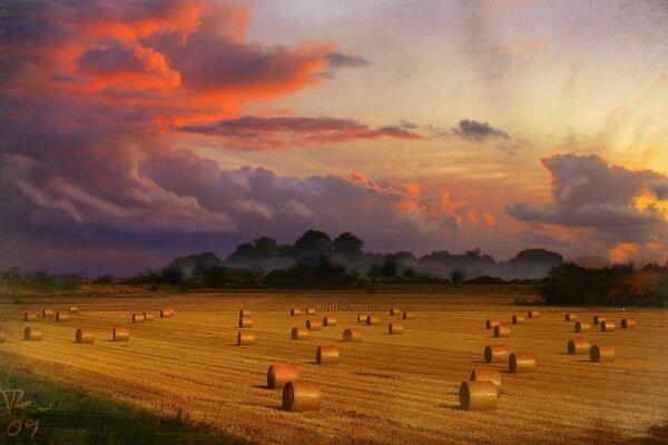 Haystacks in a field at sunset