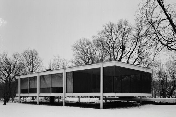 Rectangular house made of glass walls