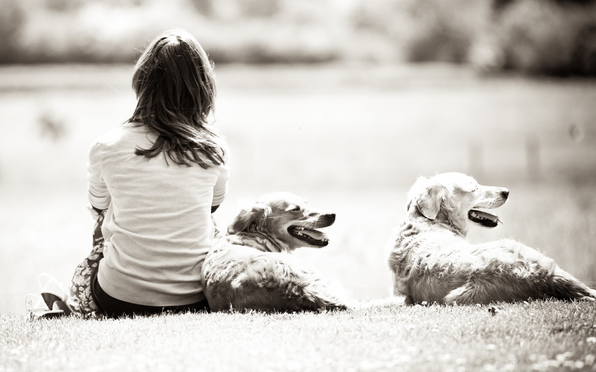 vintage monochrome chien enfant nature herbe parc portrait à l extérieur unique mignon cynologue fille enfant animal noir et blanc