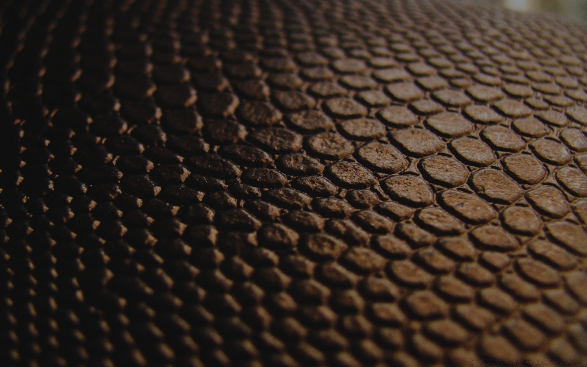 vintage leather abstract texture pattern desktop dark fabric wallpaper design rough background luxury snake fashion surface close-up