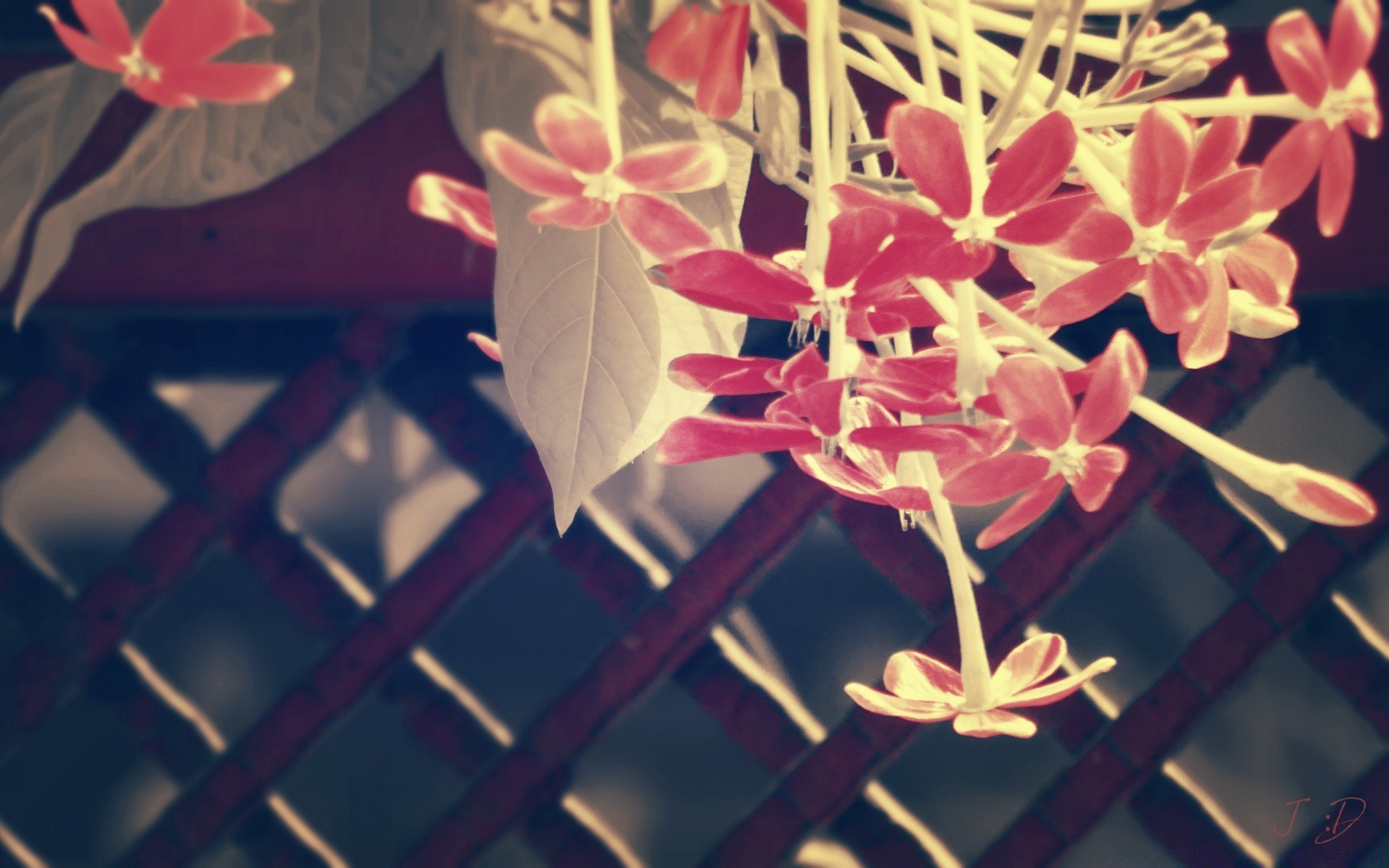 vintage çiçek tropikal doğa yaz dekorasyon flora güzel renk parlak çiçek petal egzotik