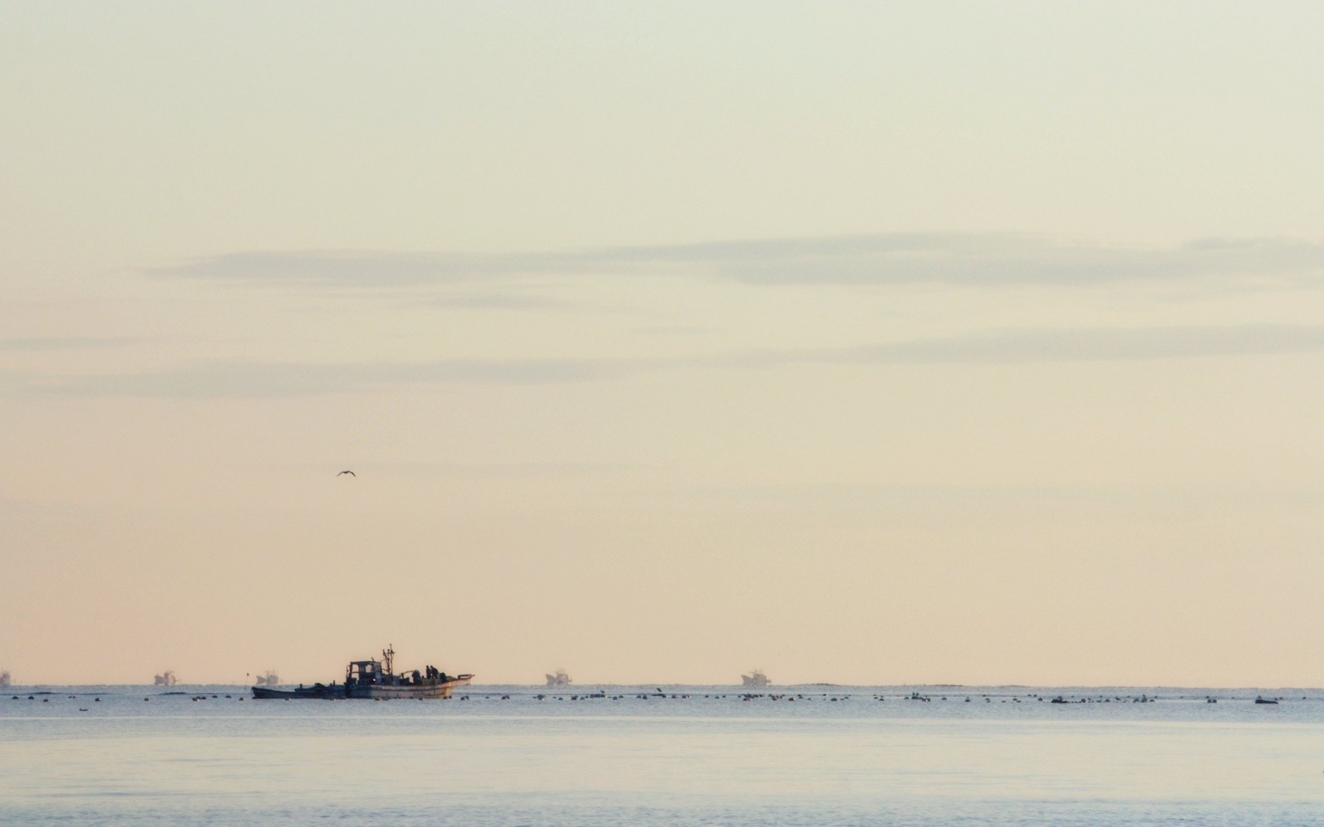 вінтаж води море пляж океан туман пейзаж озеро моря захід небо природа світанок автомобіль плавзасіб річка