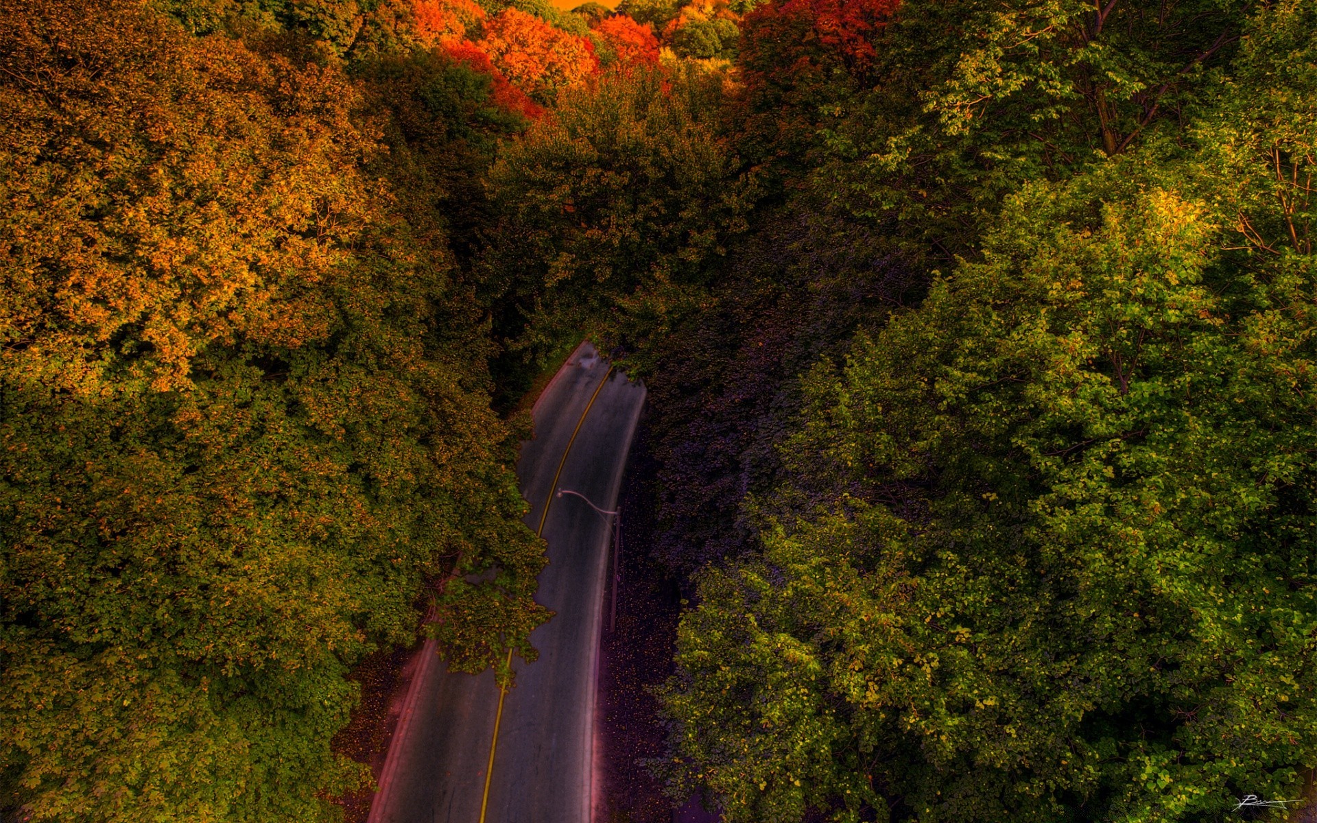 vintage fall tree wood landscape outdoors travel leaf daylight water scenic waterfall park river nature light