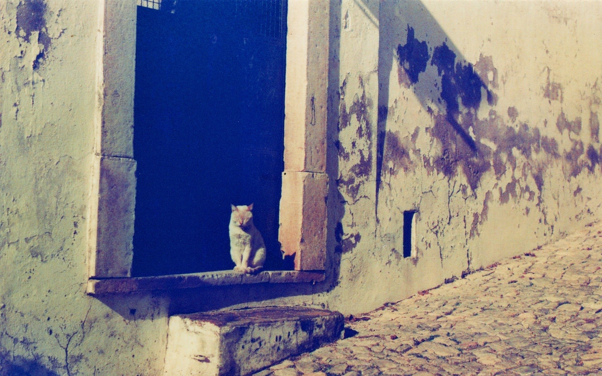 vintage okno malarstwo ścienne architektura ulica dom dom nosić stare miasto tekstury