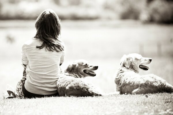 Monochromes Foto von einem Mädchen mit zwei Hunden in der Natur