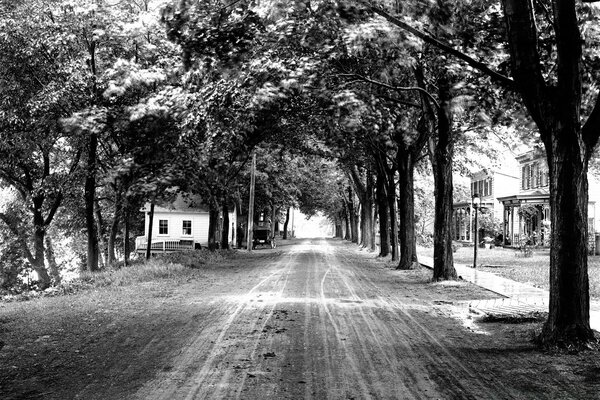 Black and white photo of the alley