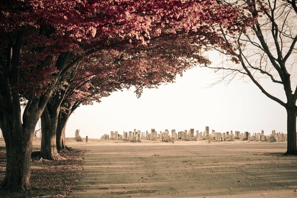 Hermoso paisaje urbano de otoño en el parque