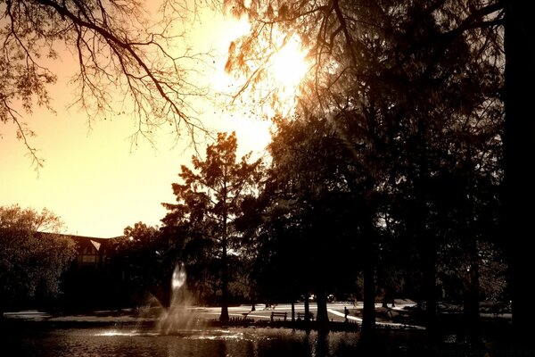 A dirty photo of a city park