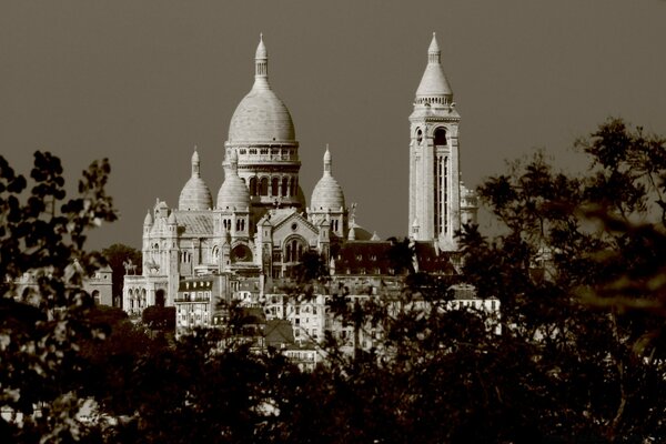 Image en noir et blanc des attractions dues aux cimes des arbres