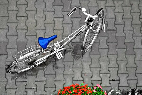 Photo of a bicycle standing next to a flower bed