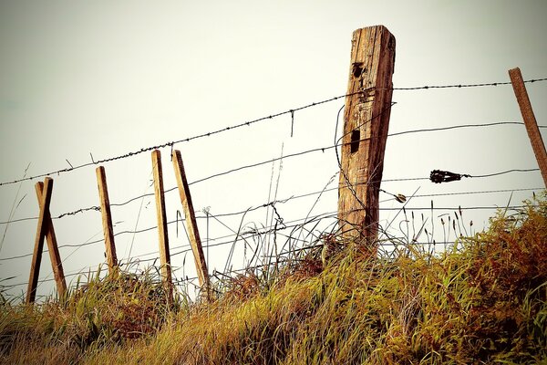 Zaun mit Stacheldraht und Holzpfosten