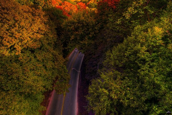 Herbststraße mit schönen Bäumen