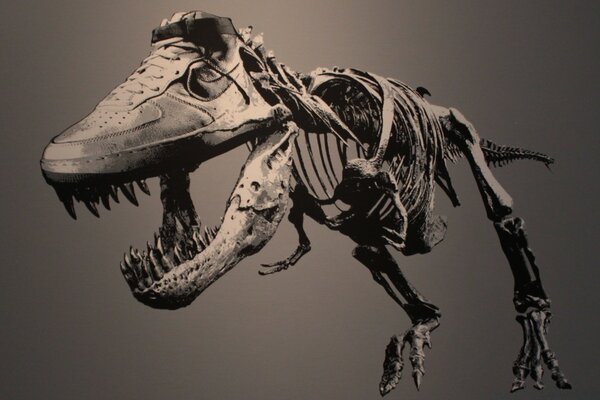 灰色背景上的恐龙骨架