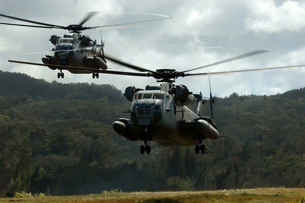 Dos helicópteros despegan y el bosque