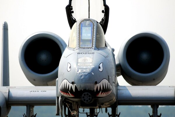 A painted shark on the nose of an airplane