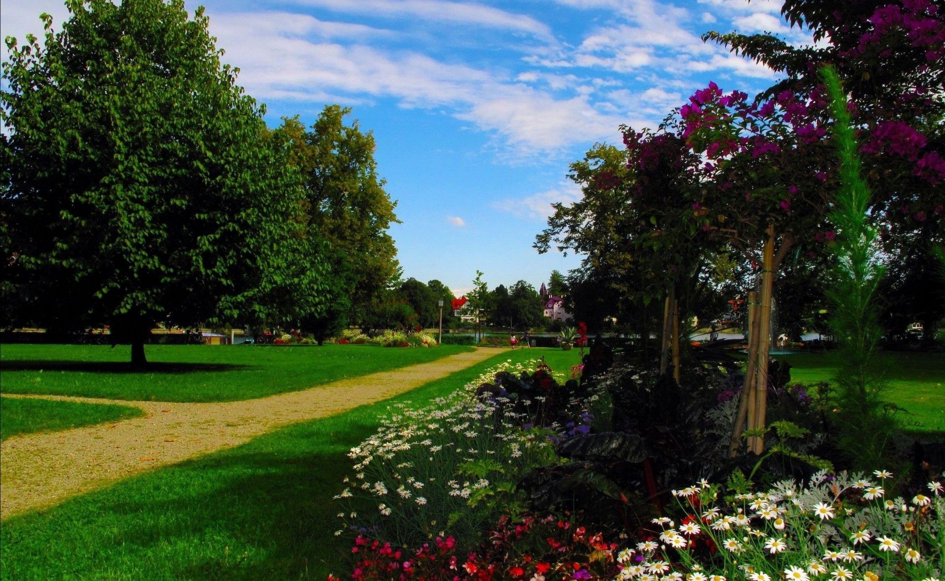 parklar ağaç çiçek çimen çimen bahçe manzara park doğa açık havada yaz yaprak golf rehberlik flora ortamlar