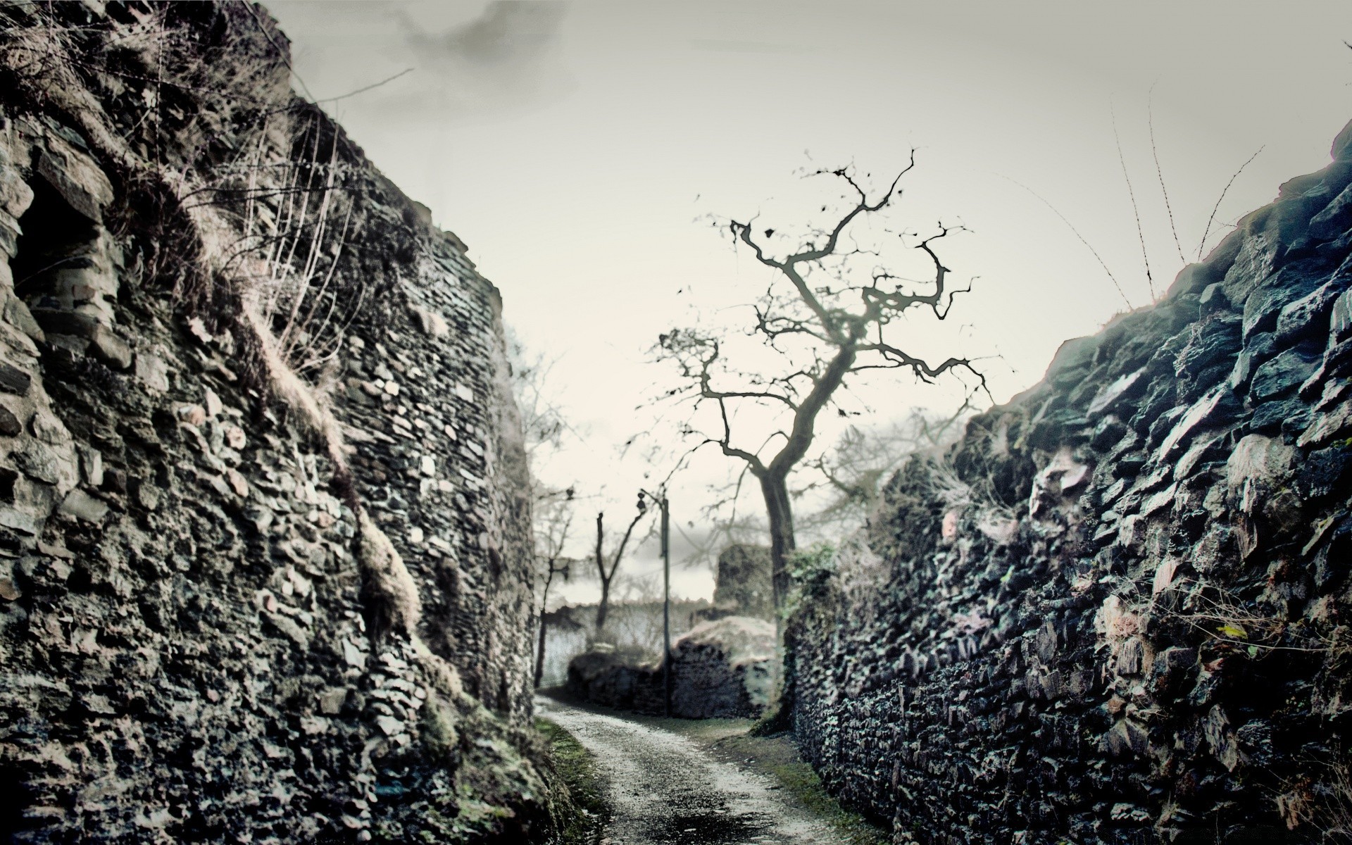 vintage natura paesaggio roccia viaggio albero all aperto montagna cielo acqua pietra legno