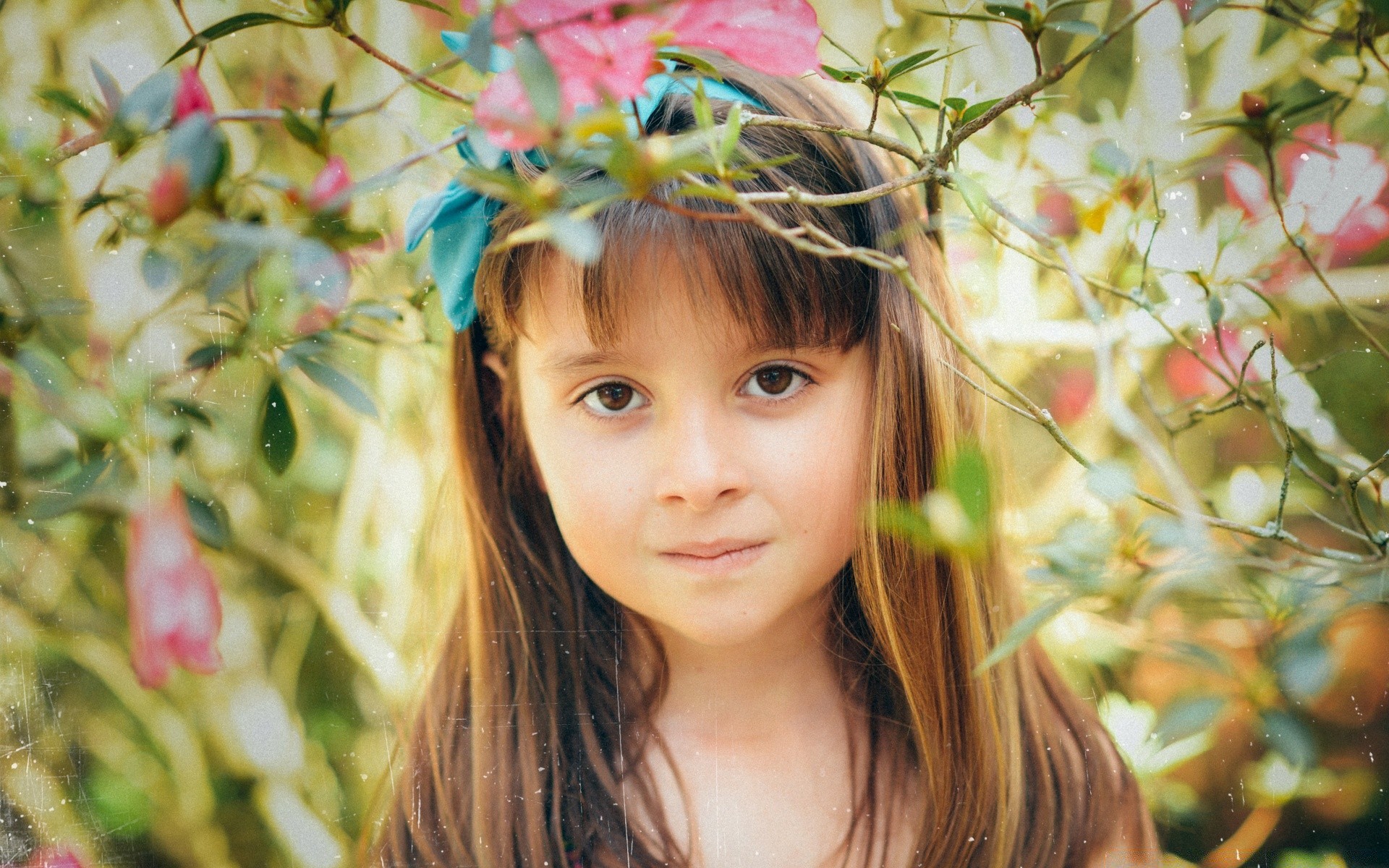 vintage nature enfant été fille belle peu fleur mignon plaisir portrait herbe arbre à l extérieur sourire bonheur joie parc visage automne