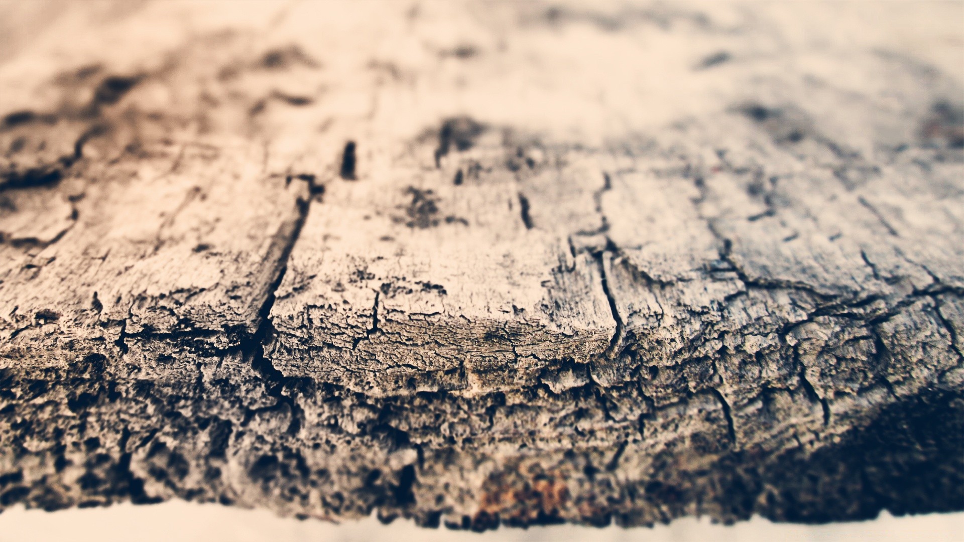 vintage desktop texture sand nature abstract beach close-up pattern surface desert color