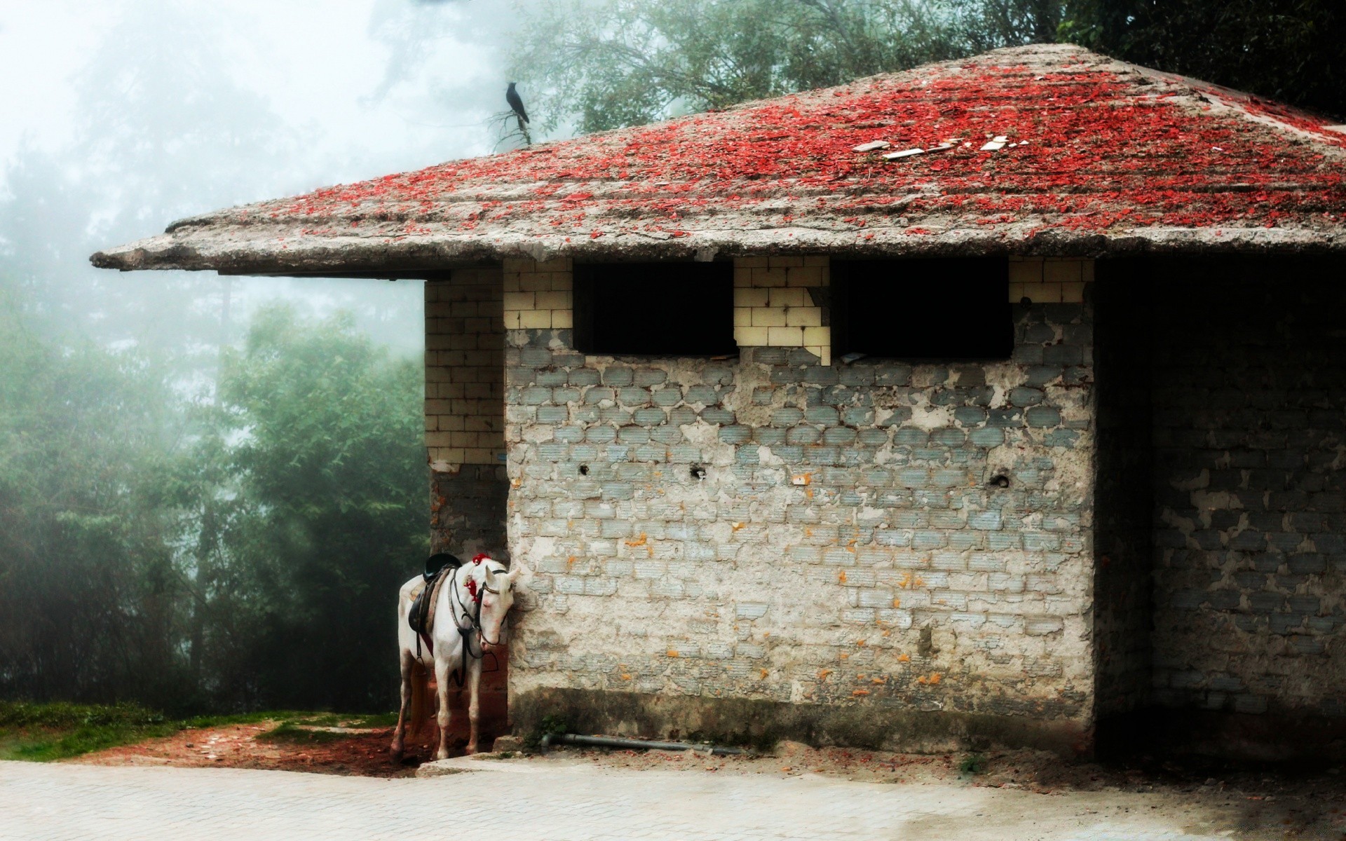 vintage building architecture house wood outdoors old home