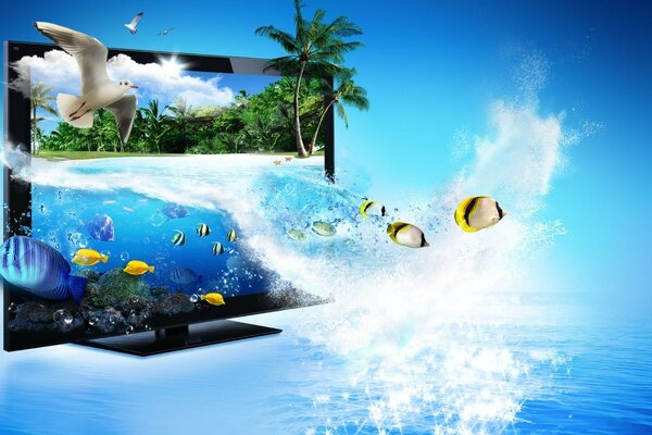 Monitor on a sea background with palm trees and fish