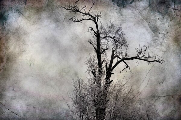 Paesaggio cupo sotto forma di un albero solitario