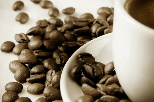 Coffee beans are scattered on the table