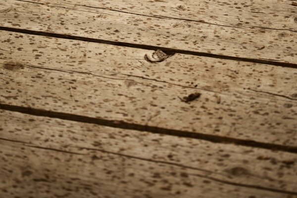 Vintage Wooden Floor Image