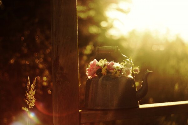 Teekanne mit Blumen in der Sonne