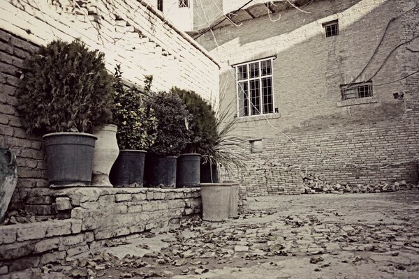 Monochrome snapshot of the old architecture of the house