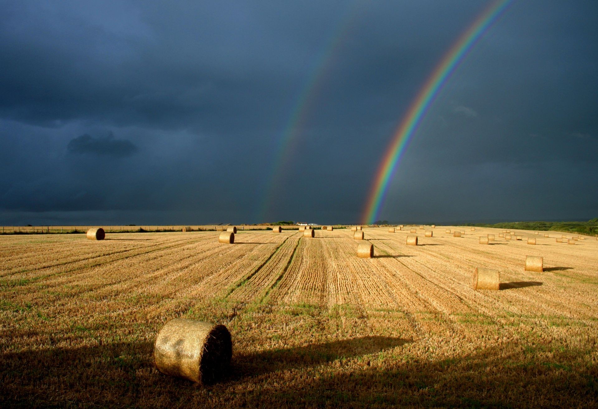 arcobaleno agricoltura fattoria paesaggio terra coltivata campo cielo pascolo campagna rurale raccolto all aperto grano