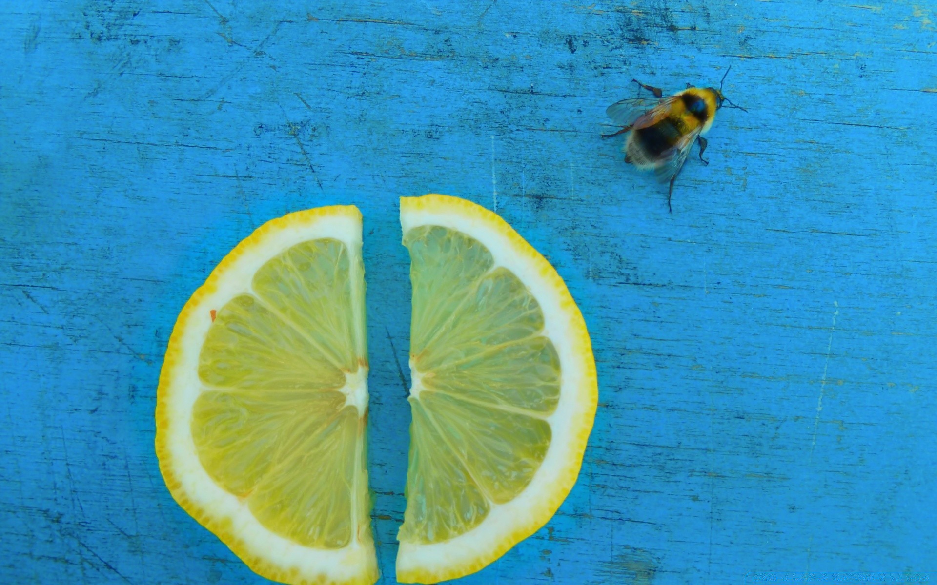 annata tropicale limone subacquea cibo agrumi desktop natura frutta