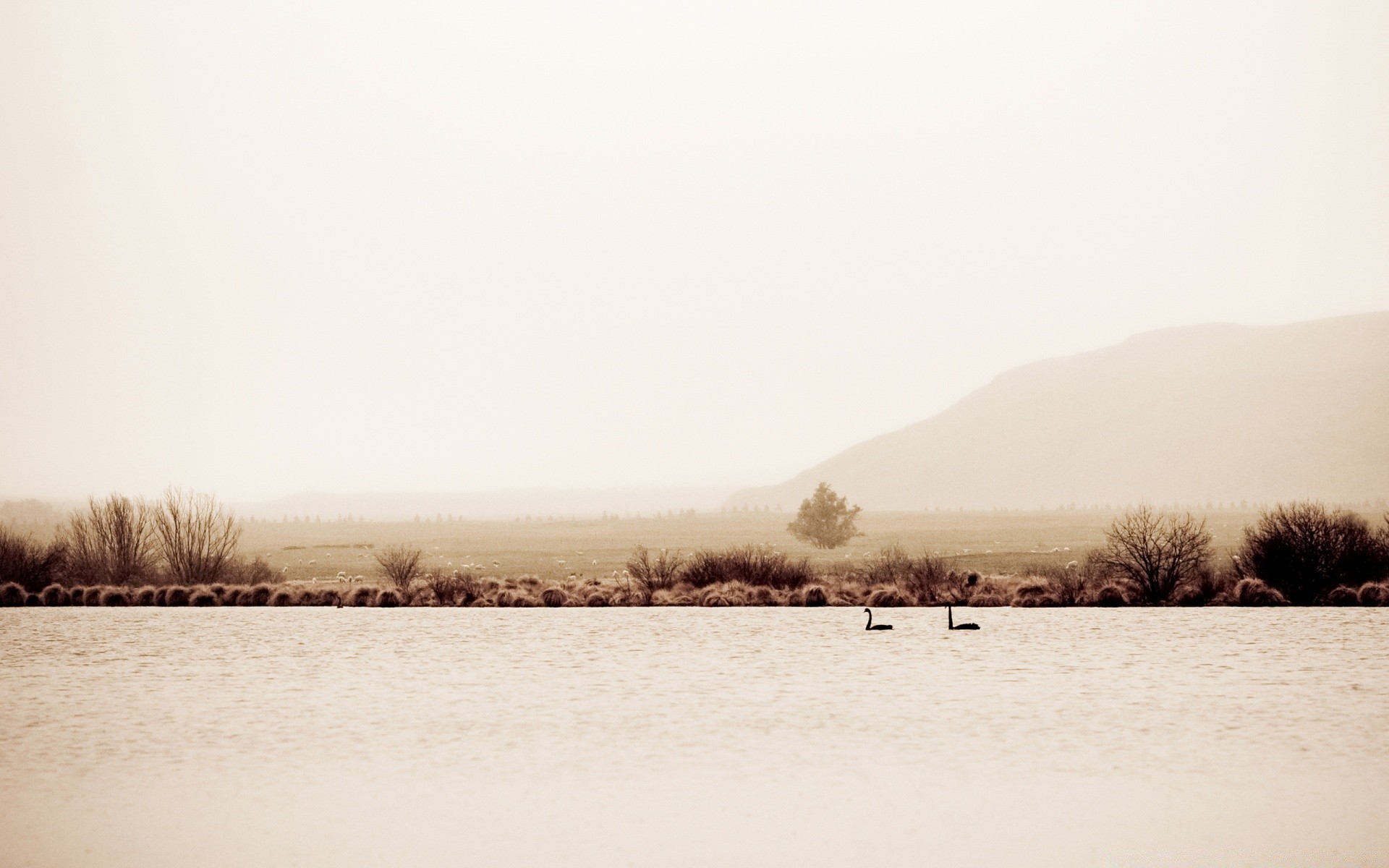 vintage nebbia inverno paesaggio neve alba nebbia albero acqua lago tramonto natura freddo fiume all aperto tempo cielo congelato ghiaccio gelo